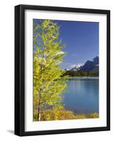 Waterfowl Lake, Banff National Park, UNESCO World Heritage Site, Rocky Mountains, Alberta, Canada,-Jochen Schlenker-Framed Photographic Print