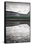Waterfowl Lake Panel I BW with Color-Alan Majchrowicz-Framed Stretched Canvas