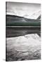 Waterfowl Lake Panel I BW with Color-Alan Majchrowicz-Stretched Canvas