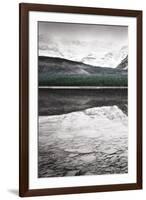 Waterfowl Lake Panel I BW with Color-Alan Majchrowicz-Framed Art Print