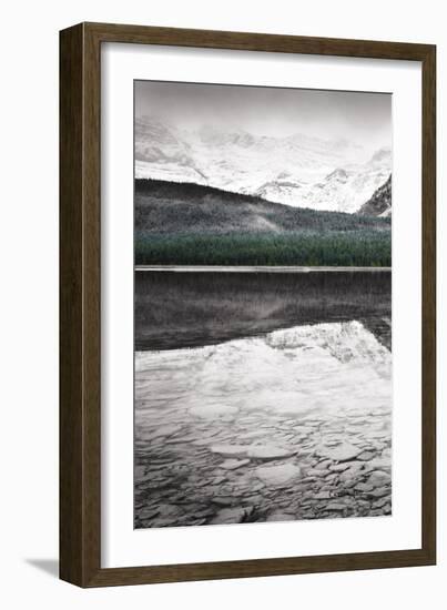 Waterfowl Lake Panel I BW with Color-Alan Majchrowicz-Framed Art Print