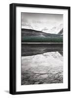 Waterfowl Lake Panel I BW with Color-Alan Majchrowicz-Framed Art Print