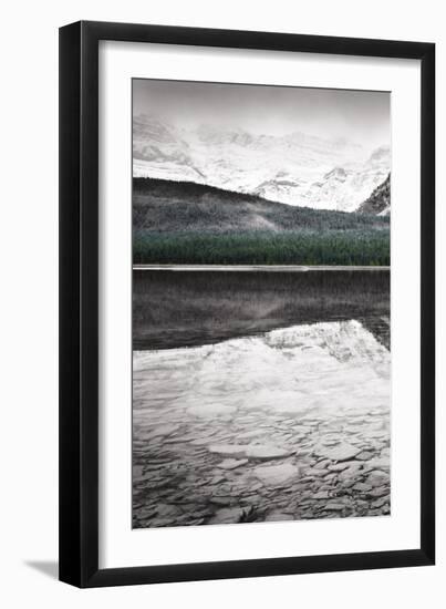 Waterfowl Lake Panel I BW with Color-Alan Majchrowicz-Framed Art Print