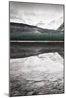 Waterfowl Lake Panel I BW with Color-Alan Majchrowicz-Mounted Art Print