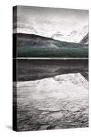 Waterfowl Lake Panel I BW with Color-Alan Majchrowicz-Stretched Canvas