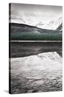 Waterfowl Lake Panel I BW with Color-Alan Majchrowicz-Stretched Canvas