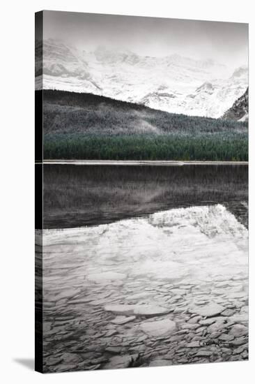 Waterfowl Lake Panel I BW with Color-Alan Majchrowicz-Stretched Canvas