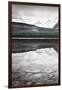 Waterfowl Lake Panel I BW with Color-Alan Majchrowicz-Framed Art Print