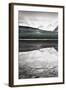 Waterfowl Lake Panel I BW with Color-Alan Majchrowicz-Framed Art Print