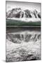 Waterfowl Lake Panel II BW with Color-Alan Majchrowicz-Mounted Art Print