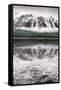 Waterfowl Lake Panel II BW with Color-Alan Majchrowicz-Framed Stretched Canvas