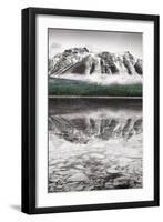 Waterfowl Lake Panel II BW with Color-Alan Majchrowicz-Framed Art Print