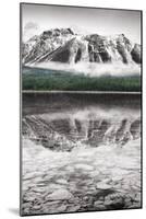 Waterfowl Lake Panel II BW with Color-Alan Majchrowicz-Mounted Art Print