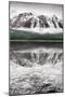 Waterfowl Lake Panel II BW with Color-Alan Majchrowicz-Mounted Art Print