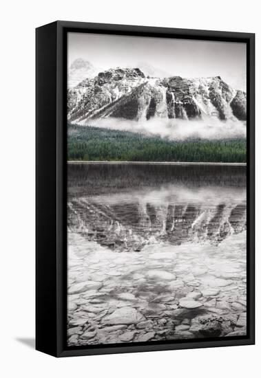 Waterfowl Lake Panel II BW with Color-Alan Majchrowicz-Framed Stretched Canvas