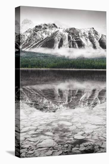 Waterfowl Lake Panel II BW with Color-Alan Majchrowicz-Stretched Canvas