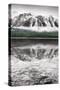 Waterfowl Lake Panel II BW with Color-Alan Majchrowicz-Stretched Canvas