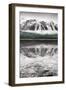 Waterfowl Lake Panel II BW with Color-Alan Majchrowicz-Framed Premium Giclee Print