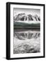 Waterfowl Lake Panel II BW with Color-Alan Majchrowicz-Framed Premium Giclee Print