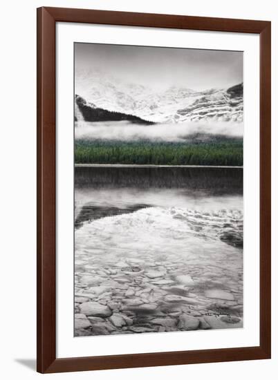 Waterfowl Lake Panel III BW with Color-Alan Majchrowicz-Framed Art Print