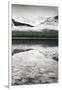 Waterfowl Lake Panel III BW with Color-Alan Majchrowicz-Framed Art Print