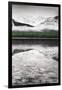 Waterfowl Lake Panel III BW with Color-Alan Majchrowicz-Framed Art Print