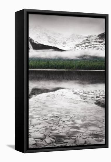 Waterfowl Lake Panel III BW with Color-Alan Majchrowicz-Framed Stretched Canvas