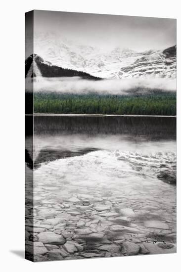 Waterfowl Lake Panel III BW with Color-Alan Majchrowicz-Stretched Canvas