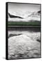 Waterfowl Lake Panel III BW with Color-Alan Majchrowicz-Framed Stretched Canvas