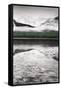 Waterfowl Lake Panel III BW with Color-Alan Majchrowicz-Framed Stretched Canvas