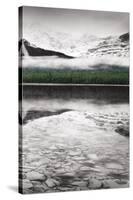 Waterfowl Lake Panel III BW with Color-Alan Majchrowicz-Stretched Canvas