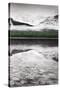 Waterfowl Lake Panel III BW with Color-Alan Majchrowicz-Stretched Canvas