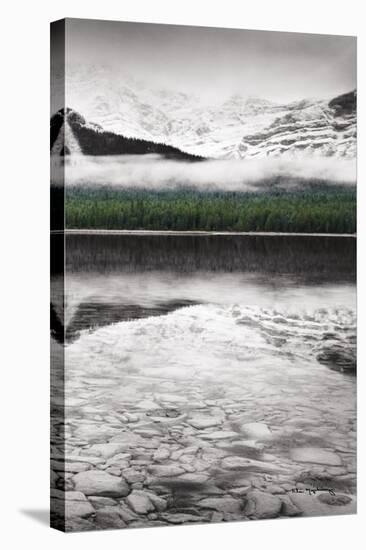 Waterfowl Lake Panel III BW with Color-Alan Majchrowicz-Stretched Canvas