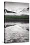 Waterfowl Lake Panel III BW with Color-Alan Majchrowicz-Stretched Canvas