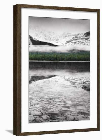 Waterfowl Lake Panel III BW with Color-Alan Majchrowicz-Framed Art Print