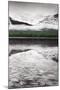 Waterfowl Lake Panel III BW with Color-Alan Majchrowicz-Mounted Art Print