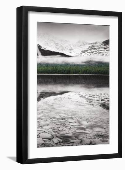 Waterfowl Lake Panel III BW with Color-Alan Majchrowicz-Framed Art Print