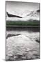 Waterfowl Lake Panel III BW with Color-Alan Majchrowicz-Mounted Art Print