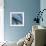 Waterfrigate-Craig Roberts-Framed Photographic Print displayed on a wall