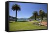 Waterfront Gardens, Picton, Marlborough Region, South Island, New Zealand, Pacific-Stuart Black-Framed Stretched Canvas