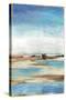 Waterfront II-Tom Reeves-Stretched Canvas