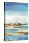 Waterfront II-Tom Reeves-Stretched Canvas