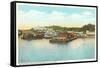 Waterfront, Mackinac Island, Michigan-null-Framed Stretched Canvas