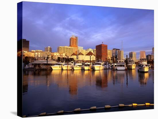 Waterfront of the Willamette River, Portland, Oregon, USA-Janis Miglavs-Stretched Canvas