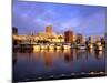 Waterfront of the Willamette River, Portland, Oregon, USA-Janis Miglavs-Mounted Photographic Print