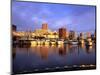 Waterfront of the Willamette River, Portland, Oregon, USA-Janis Miglavs-Mounted Photographic Print