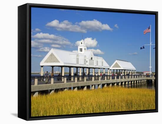 Waterfront Park Pier, Charleston, South Carolina, United States of America, North America-Richard Cummins-Framed Stretched Canvas