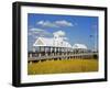 Waterfront Park Pier, Charleston, South Carolina, United States of America, North America-Richard Cummins-Framed Photographic Print