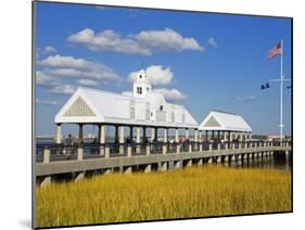 Waterfront Park Pier, Charleston, South Carolina, United States of America, North America-Richard Cummins-Mounted Photographic Print