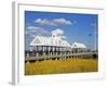 Waterfront Park Pier, Charleston, South Carolina, United States of America, North America-Richard Cummins-Framed Photographic Print